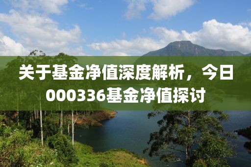 關于基金凈值深度解析，今日000336基金凈值探討