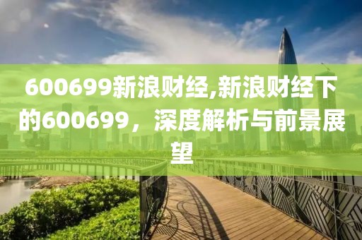 600699新浪財(cái)經(jīng),新浪財(cái)經(jīng)下的600699，深度解析與前景展望