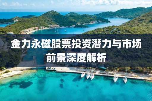 金力永磁股票投资潜力与市场前景深度解析