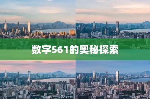 数字561的奥秘探索