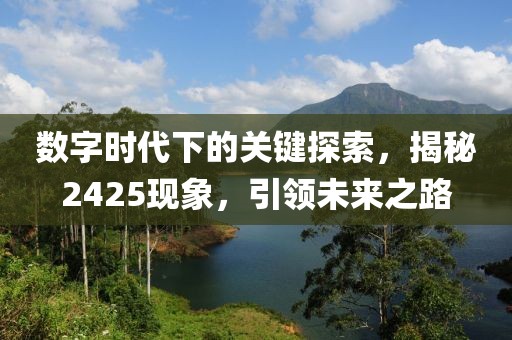 数字时代下的关键探索，揭秘2425现象，引领未来之路