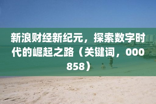 新浪财经新纪元，探索数字时代的崛起之路（关键词，000858）