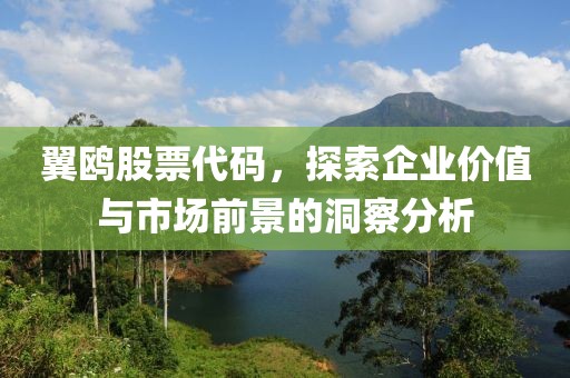 翼鷗股票代碼，探索企業價值與市場前景的洞察分析