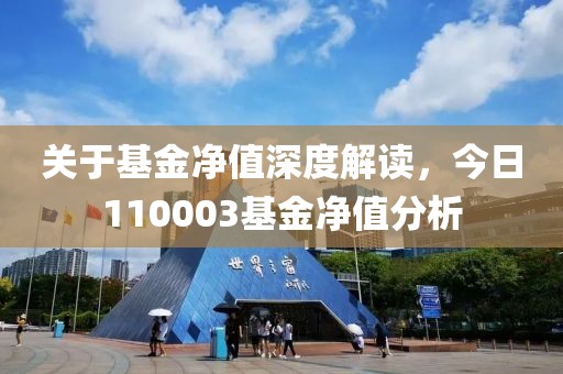 关于基金净值深度解读，今日110003基金净值分析