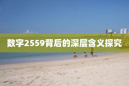 數(shù)字2559背后的深層含義探究