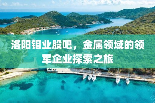 洛陽鉬業股吧，金屬領域的領軍企業探索之旅