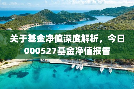 關(guān)于基金凈值深度解析，今日000527基金凈值報(bào)告