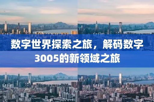 數字世界探索之旅，解碼數字3005的新領域之旅