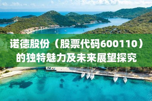 諾德股份（股票代碼600110）的獨特魅力及未來展望探究