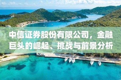 中信证券股份有限公司，金融巨头的崛起、挑战与前景分析