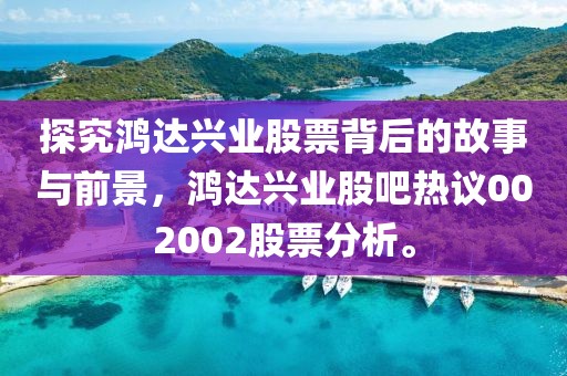 探究鸿达兴业股票背后的故事与前景，鸿达兴业股吧热议002002股票分析。