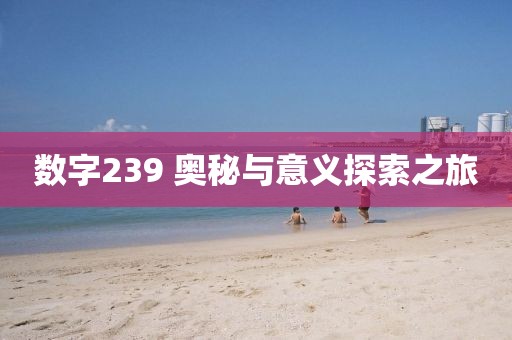 数字239 奥秘与意义探索之旅