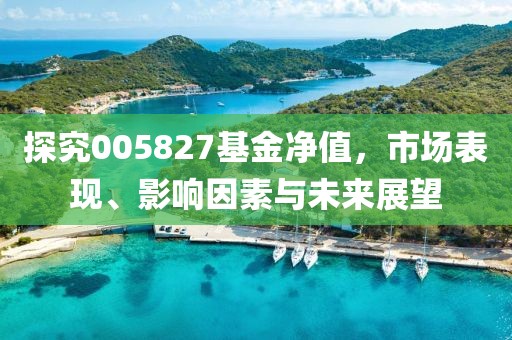 探究005827基金凈值，市場表現、影響因素與未來展望