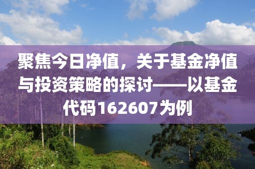 聚焦今日凈值，關(guān)于基金凈值與投資策略的探討——以基金代碼162607為例