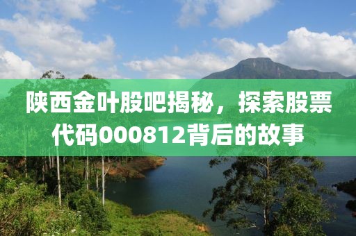 陜西金葉股吧揭秘，探索股票代碼000812背后的故事