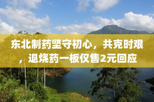 東北制藥堅守初心，共克時艱，退燒藥一板僅售2元回應