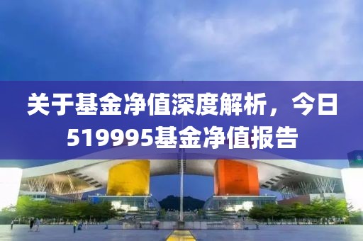 關(guān)于基金凈值深度解析，今日519995基金凈值報告