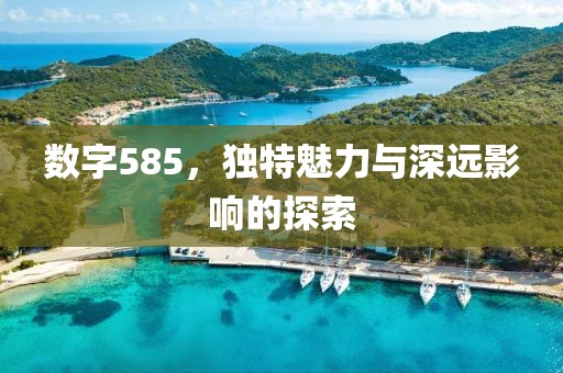 數字585，獨特魅力與深遠影響的探索