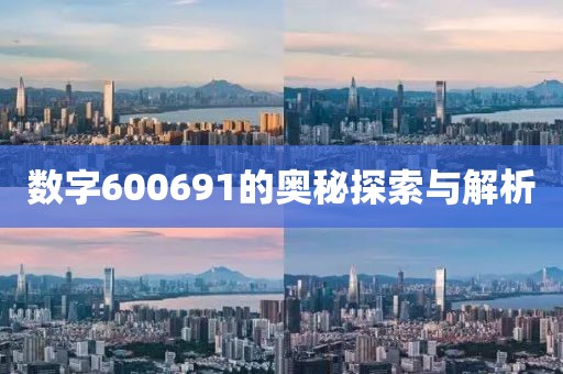 数字600691的奥秘探索与解析