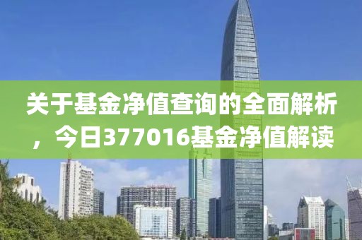 關(guān)于基金凈值查詢的全面解析，今日377016基金凈值解讀