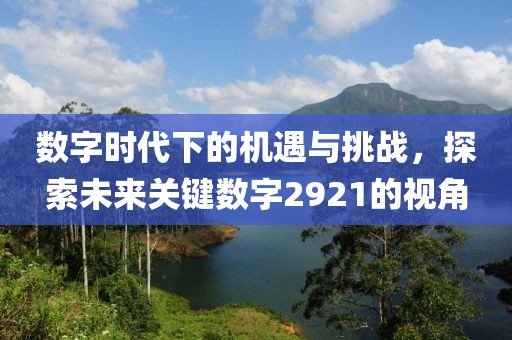 数字时代下的机遇与挑战，探索未来关键数字2921的视角