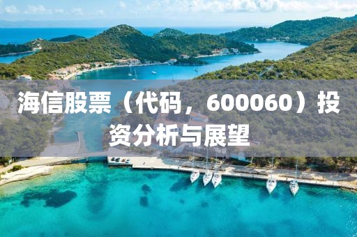 海信股票（代码，600060）投资分析与展望