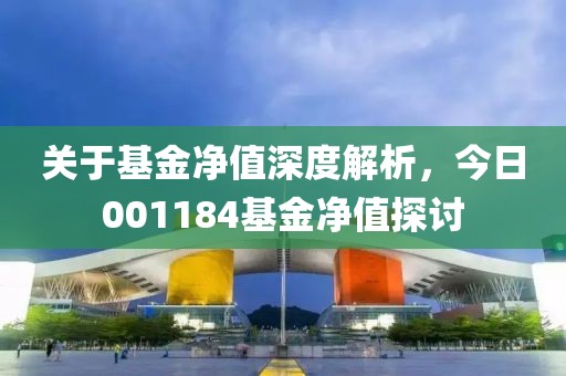 關(guān)于基金凈值深度解析，今日001184基金凈值探討