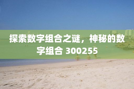 探索數(shù)字組合之謎，神秘的數(shù)字組合 300255