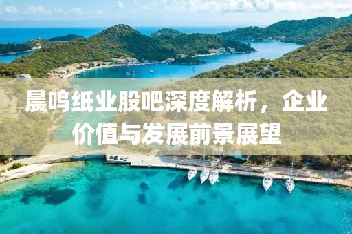 晨鳴紙業股吧深度解析，企業價值與發展前景展望