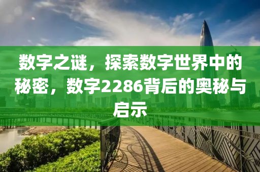 数字之谜，探索数字世界中的秘密，数字2286背后的奥秘与启示