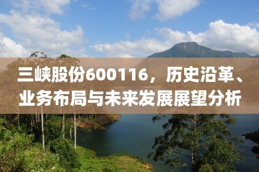 三峡股份600116，历史沿革、业务布局与未来发展展望分析