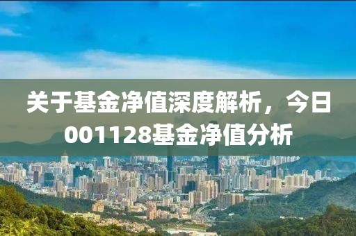 关于基金净值深度解析，今日001128基金净值分析