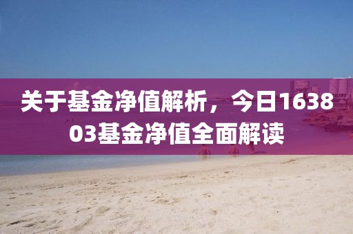 关于基金净值解析，今日163803基金净值全面解读