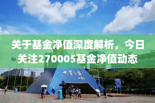 关于基金净值深度解析，今日关注270005基金净值动态