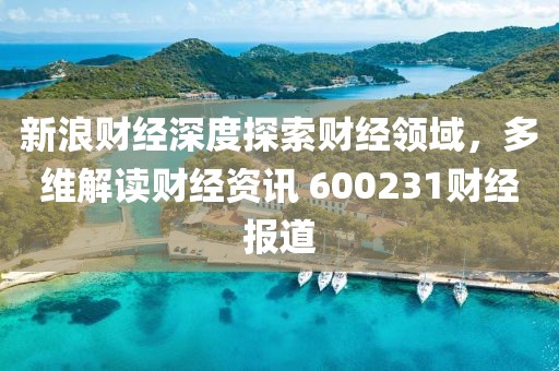 新浪财经深度探索财经领域，多维解读财经资讯 600231财经报道