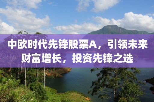 中歐時代先鋒股票A，引領未來財富增長，投資先鋒之選