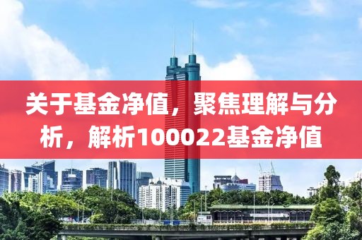 关于基金净值，聚焦理解与分析，解析100022基金净值