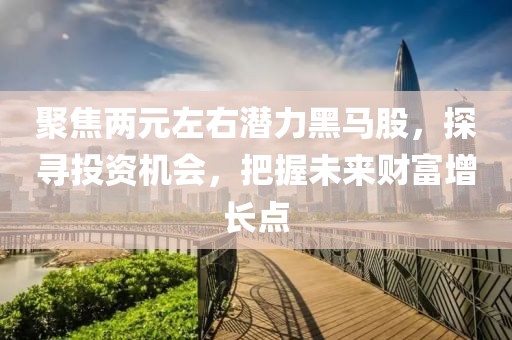 聚焦兩元左右潛力黑馬股，探尋投資機會，把握未來財富增長點