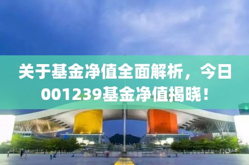 关于基金净值全面解析，今日001239基金净值揭晓！