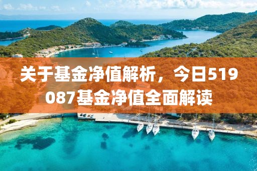 关于基金净值解析，今日519087基金净值全面解读