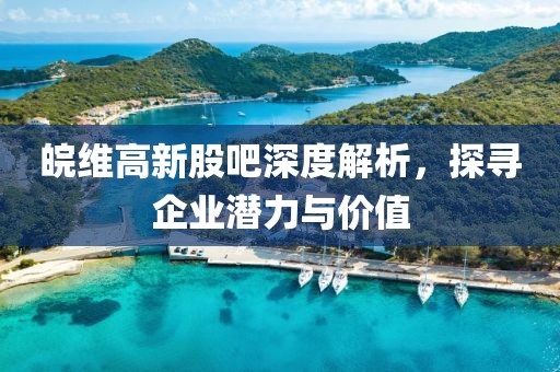 皖维高新股吧深度解析，探寻企业潜力与价值