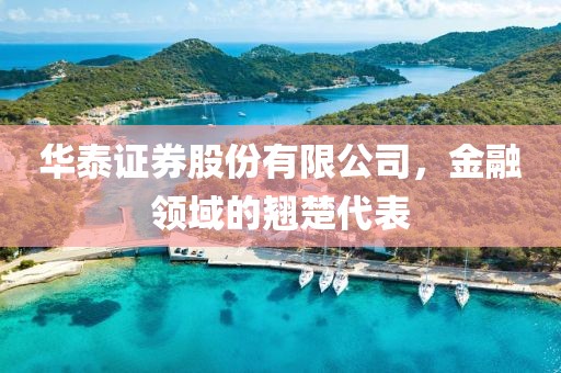 华泰证券股份有限公司，金融领域的翘楚代表