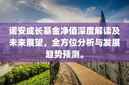 诺安成长基金净值深度解读及未来展望，全方位分析与发展趋势预测。