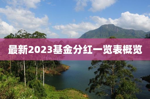 最新2023基金分紅一覽表概覽