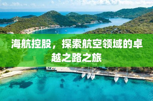 海航控股，探索航空領(lǐng)域的卓越之路之旅