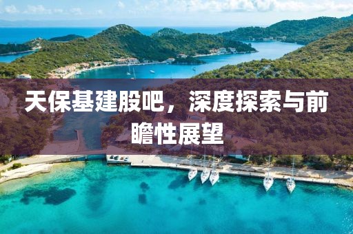 天保基建股吧，深度探索與前瞻性展望