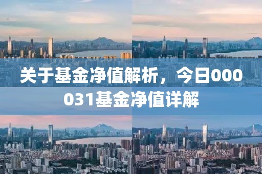 關于基金凈值解析，今日000031基金凈值詳解