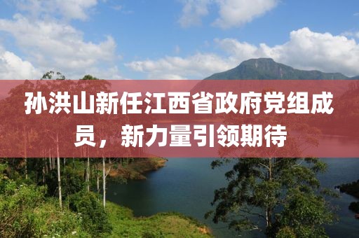 孫洪山新任江西省政府黨組成員，新力量引領期待