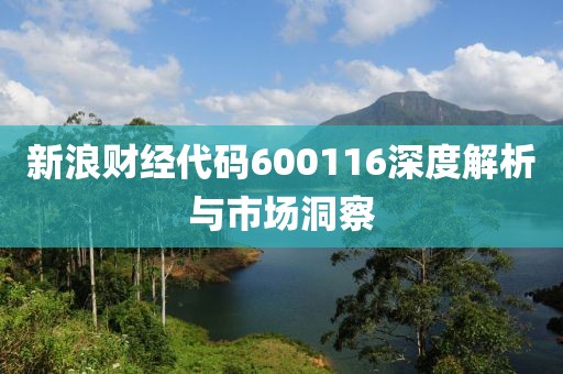 新浪財經(jīng)代碼600116深度解析與市場洞察