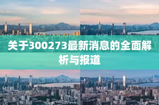 关于300273最新消息的全面解析与报道